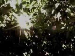 Saint Francis the Movie Exclusive Clip