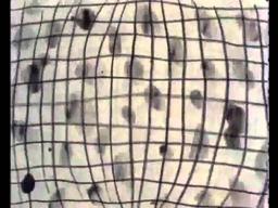 Night Club (1983) - Jonathan Hodgson