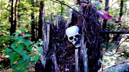 The Mountain stalker trailer scariest movie