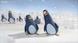 The day the penguins met David Attenborough - Attenborough at 90 - BBC