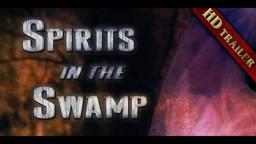 Spirits in the Swamp | Ghosts at Bellamy Bridge