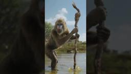 Be the First to Watch at Home Today