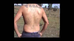 The Animal Condition Trailer