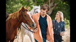 This Little Love Of Mine | Official Trailer