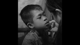 Every Day After Trailer