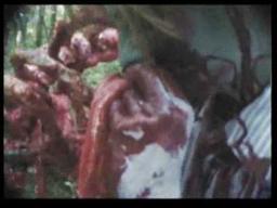 Zombie Cult Massacre...Trailer