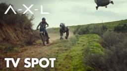 "Man's Best Friend" TV Spot