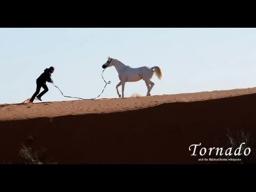Tornado and the Kalahari Horse Whisperer