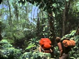 Baby: Secret Of The Lost Legend