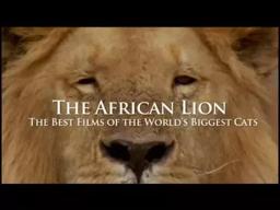 The African Lion Trailer