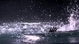 Angus Buchan's Ordinary People Official Movie Trailer