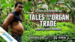 Tales from the Organ Trade | Trailer | Available now