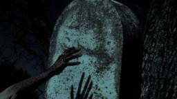 Possum Walk - Teaser