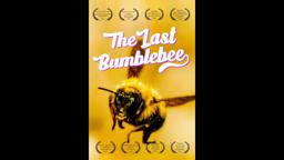 The Last Bumblebee Trailer