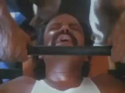 Cheech and Chong's Nice Dreams