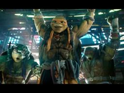 World Turtle Day