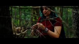 Trailer - Through The Trees