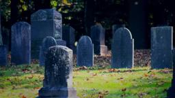 SICKLE Official Trailer