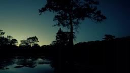 Boggy Creek Monster: The Truth Behind the Legend (2016) Teaser Trailer