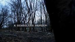 David & Me - Trailer