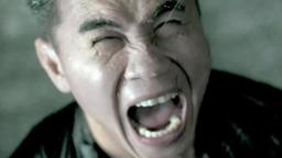 THE GRANDMASTER | Trailer 3