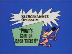 What A Cartoon! - Sledgehammer O' Possum in " What's Goin' on Back There?"