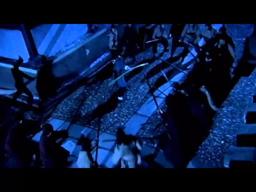 Shaolin Warrior - Trailer