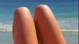 THE WINDMILL MOVIE OFFICIAL TRAILER