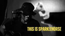 ‘This Is Sparklehorse’ Final Teaser 2022