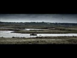 The Hide movie trailer