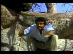 The Gods Must Be Crazy II 1989 /1990 movie Trailer