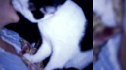 Infinity Kisses - The Movie