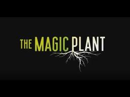 The Magic Plant   Trailer