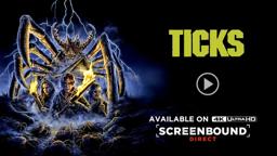 Limited Edition 4K UHD Extras Sneak Peak