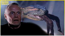 Anaconda Attacks By Night