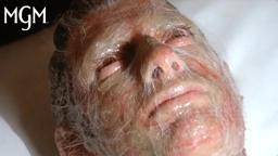 The Pod Person Wakes Up