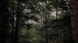 "The Ghosts of Johnson Woods" Movie Trailer