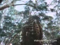 Andy And The Airwave Rangers Trailer 1989