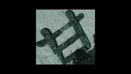 Chapter 3 of RESURRECTION, a young monk is startled by a "bitter spirit" in the temple…