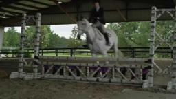 A Gift Horse - Official Trailer HD