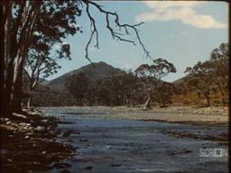 Mountain Spring: The Flinders Range