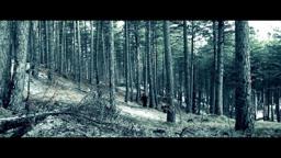 JABAL - Ali di ghiaccio - Trailer Ufficiale