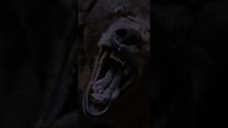 Welcome to the bottom of the food chain.