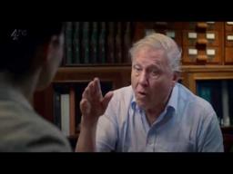 When Björk Met Attenborough (Channel 4)