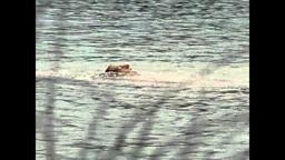 Vivaldi, The Red Priest - Trailer