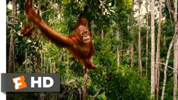 Born to Be Wild Official Trailer #1 - (2011) HD