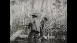 Zora Neal Hurston Fieldwork Footage 1928