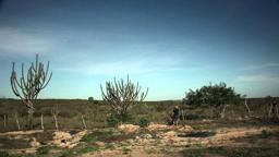 Olhe pra mim de novo - Trailer Oficial