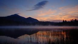 "The 46ers" Interview with the Director