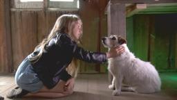 A Doggone Adventure - Official Trailer HD (2018)